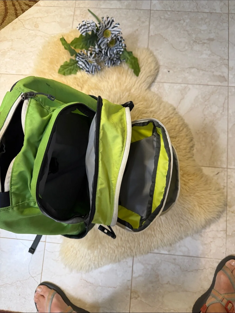 Patagonia Lime Green  Outdoor Daypack